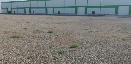 photo_2023-07-25 16.14.41